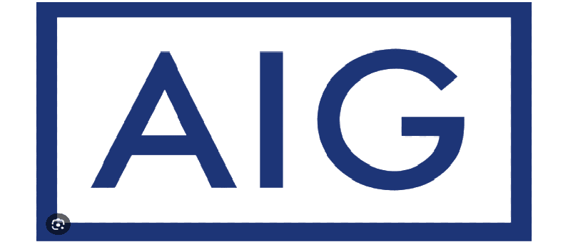 Logo of AIG in blue and gray colors.